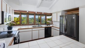 1129  Koloa Street Kahala Area, Diamond Head home - photo 5 of 25