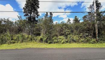 11-2946 Lehua Street 2946 Mountain View, Hi vacant land for sale - photo 2 of 6