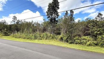 11-2946 Lehua Street 2946 Mountain View, Hi vacant land for sale - photo 3 of 6