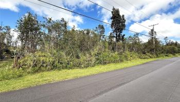 11-2946 Lehua Street 2946 Mountain View, Hi vacant land for sale - photo 4 of 6