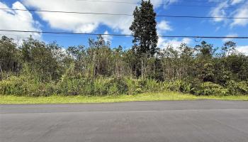 11-2946 Lehua Street 2946 Mountain View, Hi vacant land for sale - photo 5 of 6