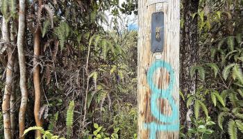 11-2946 Lehua Street 2946 Mountain View, Hi vacant land for sale - photo 6 of 6