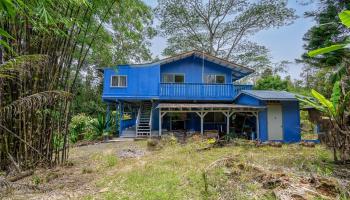 11-2979  Plumeria Street Fern Acres, Puna home - photo 2 of 25