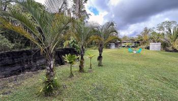 11-3064  Plumeria St Fern Acres, Puna home - photo 6 of 24