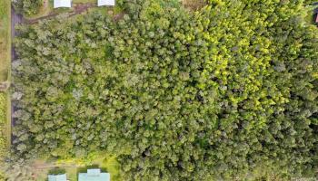 11-3221 Mokuna Street  Volcano, Hi vacant land for sale - photo 3 of 20