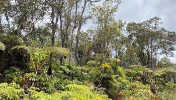 11-3729A Ala Ohia Street  Volcano, Hi vacant land for sale - photo 1 of 16