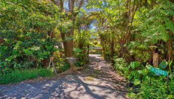 11-3832  2nd Street Mauna Loa Est, Puna home - photo 2 of 25
