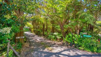 11-3832  2nd Street Mauna Loa Est, Puna home - photo 3 of 25