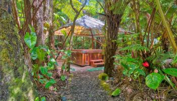 11-3832  2nd Street Mauna Loa Est, Puna home - photo 4 of 25