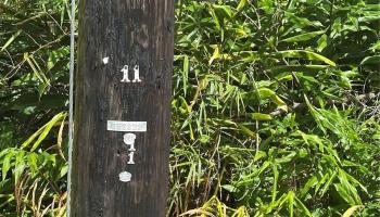 115 Kuhio Drive  Pahoa, Hi vacant land for sale - photo 1 of 1