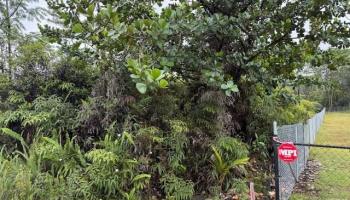 1163 13th Ave  Keaau, Hi vacant land for sale - photo 2 of 11