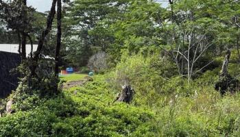 1163 13th Ave  Keaau, Hi vacant land for sale - photo 3 of 11