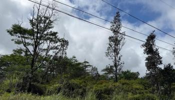 1163 13th Ave  Keaau, Hi vacant land for sale - photo 4 of 11