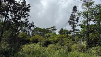 1163 13th Ave  Keaau, Hi vacant land for sale - photo 5 of 11