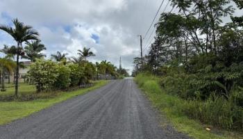 1163 13th Ave  Keaau, Hi vacant land for sale - photo 6 of 11