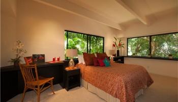 120 Hanupaoa Pl Manoa Area, Honolulu home - photo 5 of 20