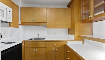 1255 Nuuanu Ave Honolulu - Rental - photo 5 of 22