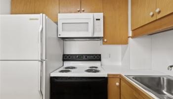 1255 Nuuanu Ave Honolulu - Rental - photo 6 of 22