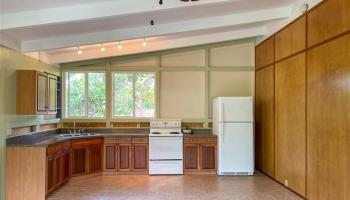 12-7005  Hoeunalu Street Kalapana Sea Vie, Puna home - photo 4 of 20