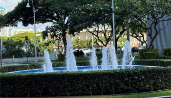 Photo of Moana Pacific