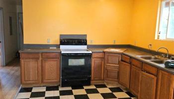 13-1368  Launahele Road Pahoa, Puna home - photo 4 of 25