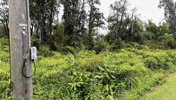 13-3629 Alapai Street  Pahoa, Hi vacant land for sale - photo 3 of 10