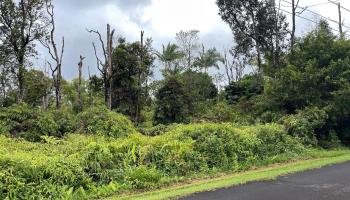 13-3629 Alapai Street  Pahoa, Hi vacant land for sale - photo 4 of 10