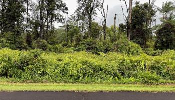 13-3629 Alapai Street  Pahoa, Hi vacant land for sale - photo 5 of 10