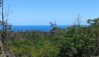 13-3992 Pahoa Kalapana Rd  Pahoa, Hi vacant land for sale - photo 1 of 23