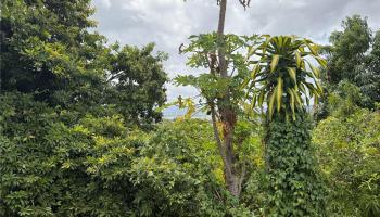 1358  Wanaka Street ,  home - photo 1 of 6