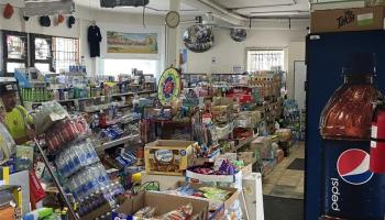 1402 Lusitana St Punchbowl-lower  - photo 6 of 15