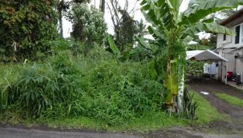141 Manini St  Hilo, Hi vacant land for sale - photo 1 of 6