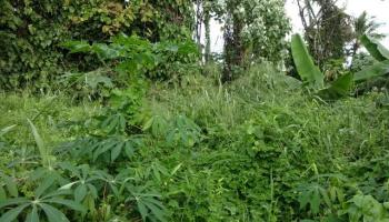 141 Manini St  Hilo, Hi vacant land for sale - photo 2 of 6