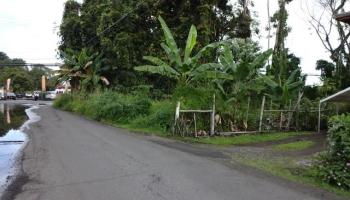 141 Manini St  Hilo, Hi vacant land for sale - photo 3 of 6