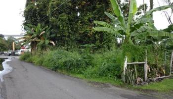 141 Manini St  Hilo, Hi vacant land for sale - photo 4 of 6