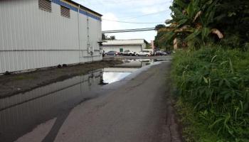 141 Manini St  Hilo, Hi vacant land for sale - photo 6 of 6