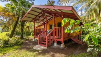 14-3529  Mauna Kea Road Nanawale Est,  home - photo 1 of 9