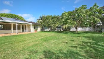 145 Kapaa Street Kailua - Rental - photo 1 of 19 145 Kapaa Street Kailua - Rental - photo 1 of 19
