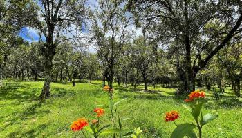 14-5079 Puua Road  Pahoa, Hi vacant land for sale - photo 3 of 25