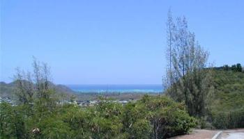 1453 Aunauna Street  Kailua, Hi vacant land for sale - photo 3 of 7