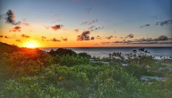 1460  Kamole Street Waialae Iki, Diamond Head home - photo 2 of 25