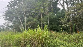 - 14th Ave  Keaau, Hi vacant land for sale - photo 1 of 4