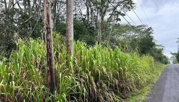 - 14th Ave  Keaau, Hi vacant land for sale - photo 3 of 4