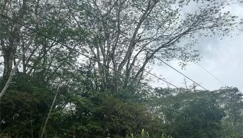 - 14th Ave  Keaau, Hi vacant land for sale - photo 4 of 4