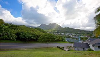 1505 Kanapuu Dr  Kailua, Hi 96734 vacant land - photo 1 of 5