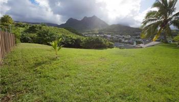 1505 Kanapuu Dr Kailua, Hi 96734 vacant land - photo 4 of 5 1505 Kanapuu Dr Kailua, Hi 96734 vacant land - photo 4 of 5