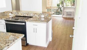 Photo of Makiki Palms