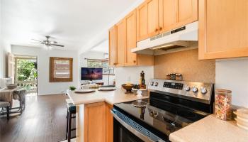 1506  Frear St Punchbowl-lower, Honolulu home - photo 6 of 19