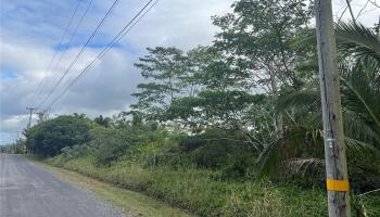 15-1590 17th Ave  Keaau, Hi vacant land for sale - photo 1 of 6