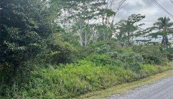 15-1590 17th Ave  Keaau, Hi vacant land for sale - photo 2 of 6